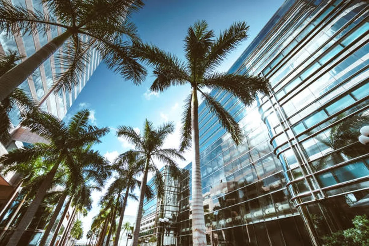Deutschsprachiger Immobilienmakler in Florida prüft das 100 %-Provisionsmodell am Laptop